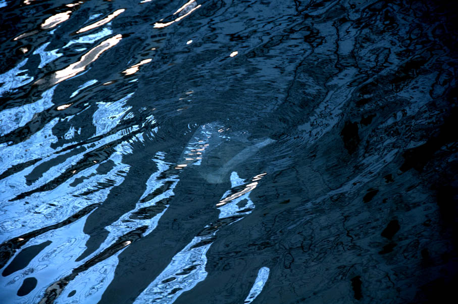 e0163776_1642623.jpg