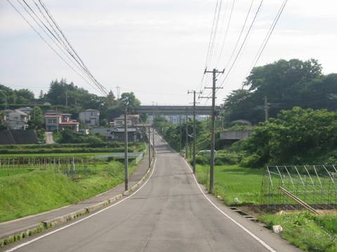 a0087378_5532918.jpg