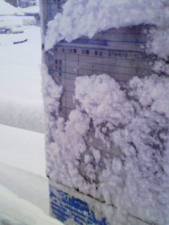 c0072379_8141065.jpg