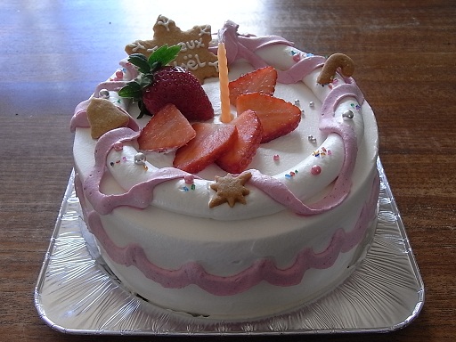 2010　クリスマスケーキ_f0183981_23283683.jpg