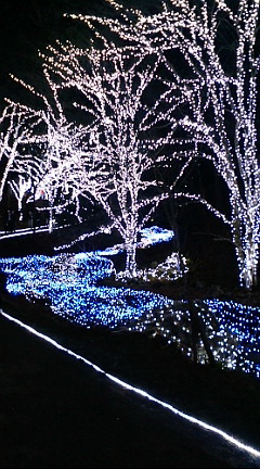 2010年12月25日(土) ☆クリスマス☆_b0137083_19485943.jpg