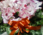 c0143684_2372327.jpg
