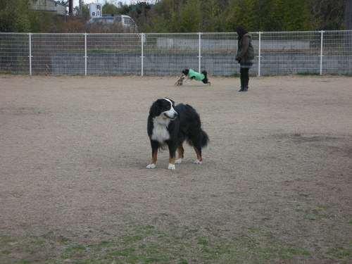f0232785_19433940.jpg
