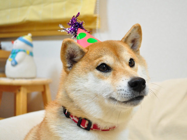長靴はいたサンタさん?_a0126590_6451880.jpg