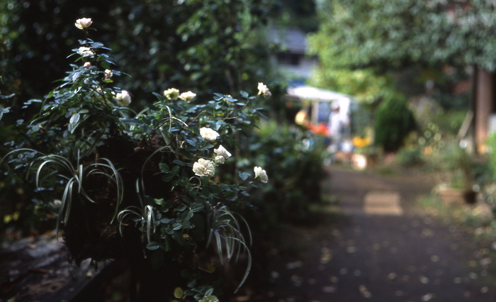c0214494_23112557.jpg