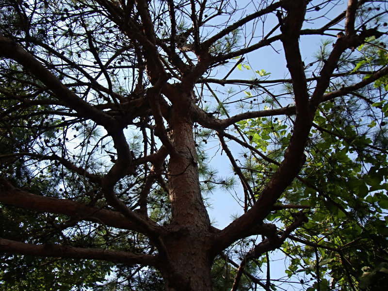f0204094_11131978.jpg