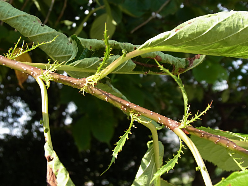 f0204094_2124990.jpg