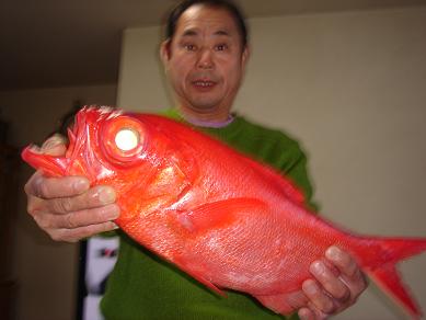 赤い鯛だぁー 黒鯛良夫の東京湾最奥部黒鯛ヘチ釣り