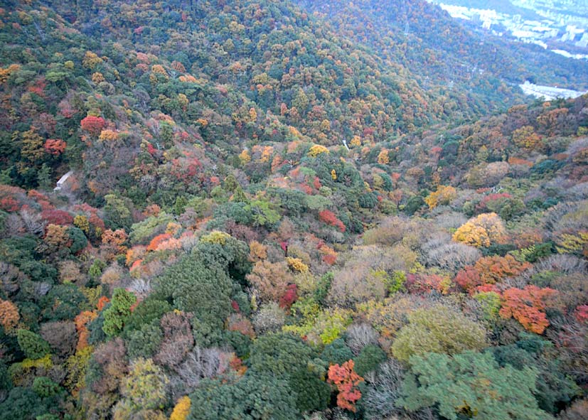 KOBE MAYA CABLE & ROPEWAY_a0102098_14484846.jpg