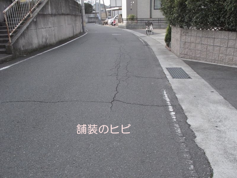 舗装道路のヒビ割れ_f0059498_17494121.jpg