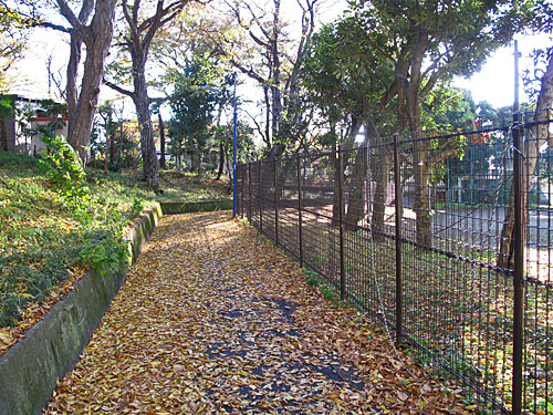 「妙正寺川天沼本村支流（仮称）」の暗渠を辿る（１）妙正寺川右岸傍流_c0163001_23472332.jpg