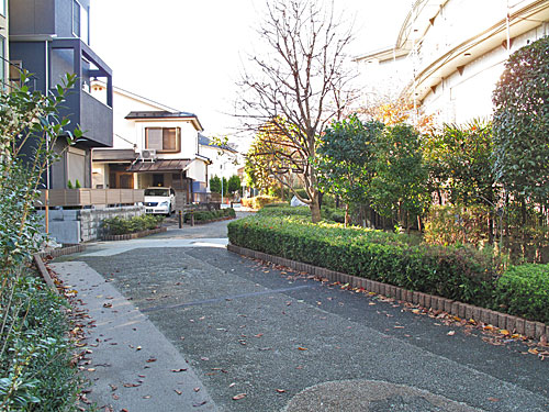 「妙正寺川天沼本村支流（仮称）」の暗渠を辿る（１）妙正寺川右岸傍流_c0163001_23474466.jpg