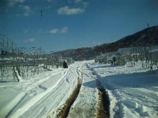 晴天_d0099708_11215697.jpg