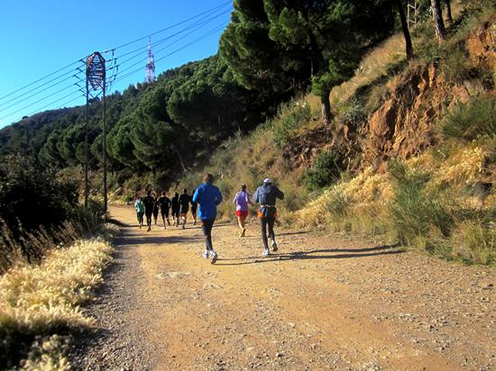 コルセローラを歩く　　　caminar en la Collserola_b0064411_7174965.jpg