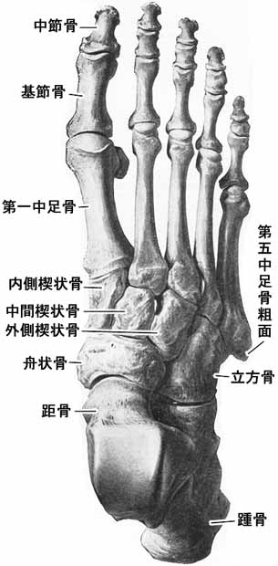 c0047812_179110.jpg