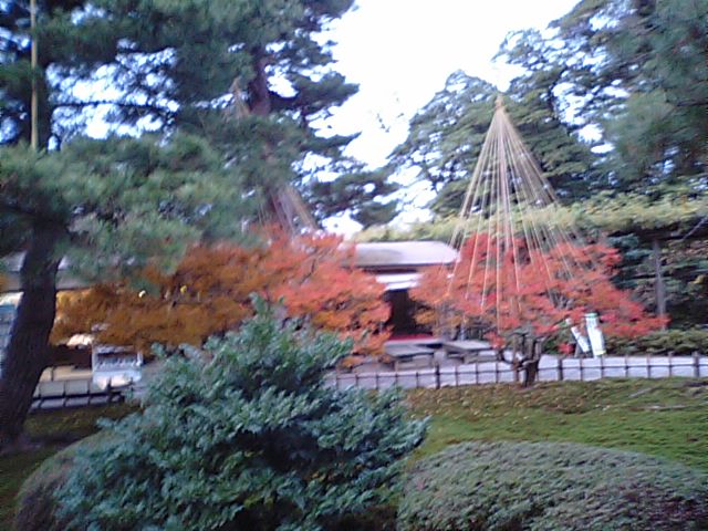 b0133713_21591362.jpg