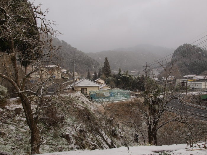 雪景色の朝_c0116915_23383020.jpg