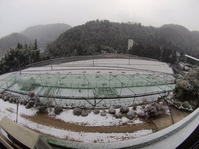 2階からの雪景色_c0116915_23394212.jpg