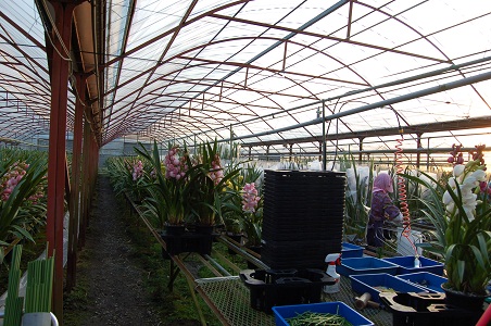 e0071324_1530231.jpg