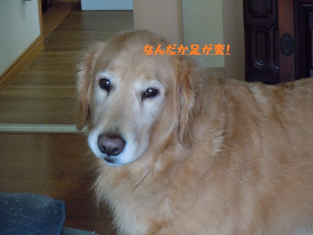 今シーズン初の積雪_f0114128_17125975.jpg