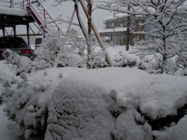 今シーズン初の積雪_f0114128_1765396.jpg