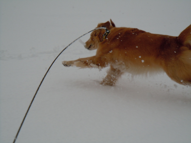 今シーズン初の積雪_f0114128_1784510.jpg