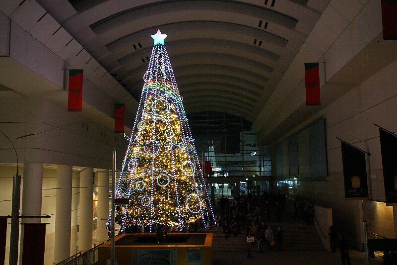 a0122932_0165452.jpg