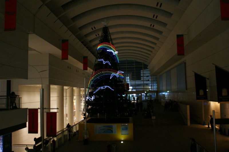 a0122932_06975.jpg