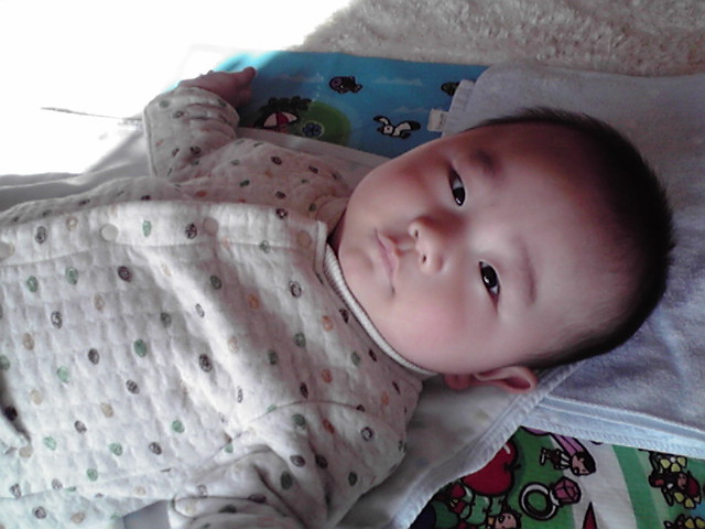 a0075133_2562616.jpg