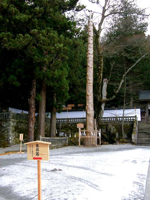 d0127634_1219568.jpg