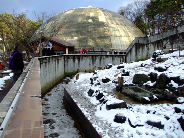 ガチで年中無休!大晦日も元旦も開園してます!!_a0179837_0421882.jpg