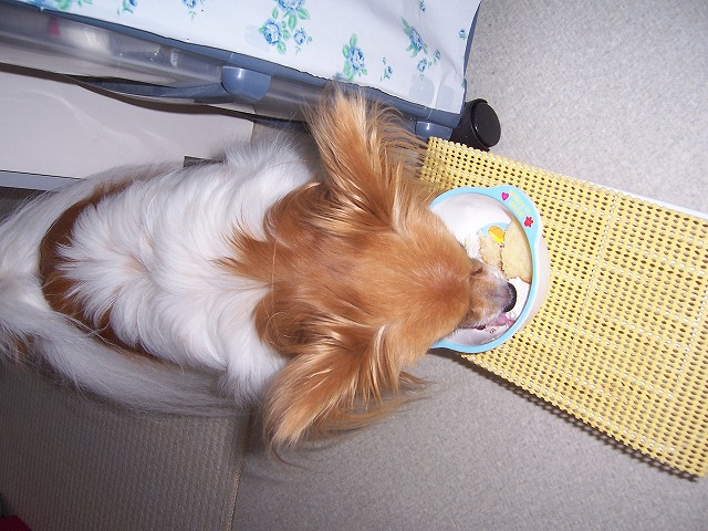 c0048940_18568.jpg