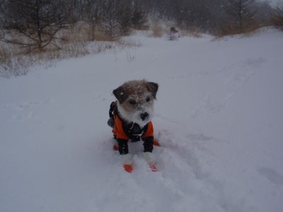 雪山活動 その１ー 小浅間_c0022147_23505415.jpg