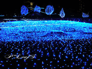 c0176651_1692168.gif