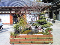 f0065954_20214100.jpg