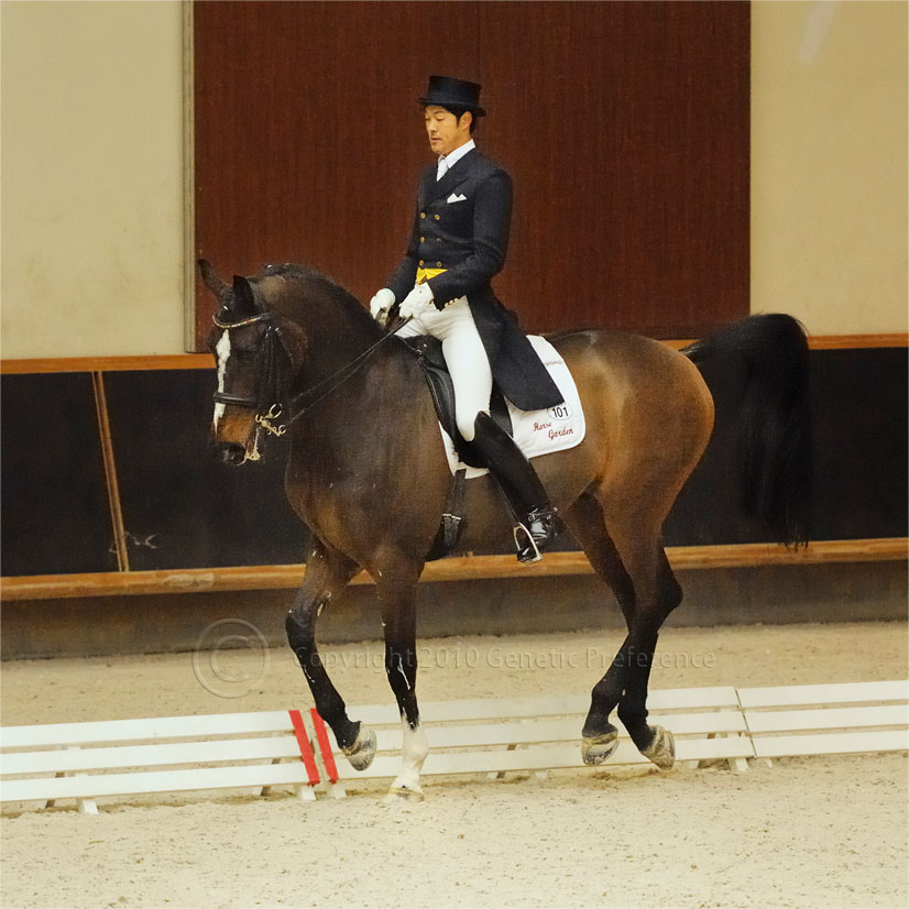 第62回全日本馬場馬術大会2010PartI兼CDI3*Miki Vol.13_a0111162_212082.jpg