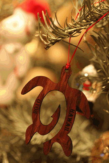 f0107364_0141791.gif