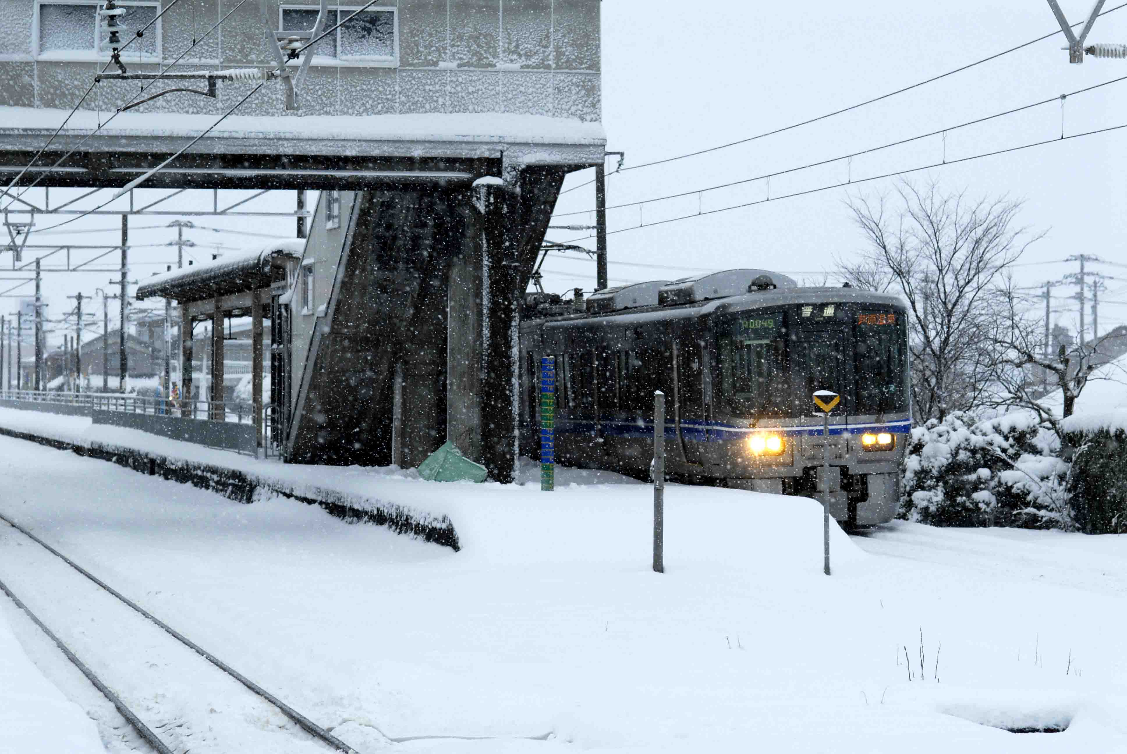 大雪でも鉄_c0087867_200279.jpg