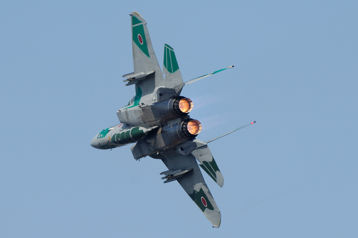 新田原基地航空祭　2010　アグレッサー・・_f0061172_10211100.jpg