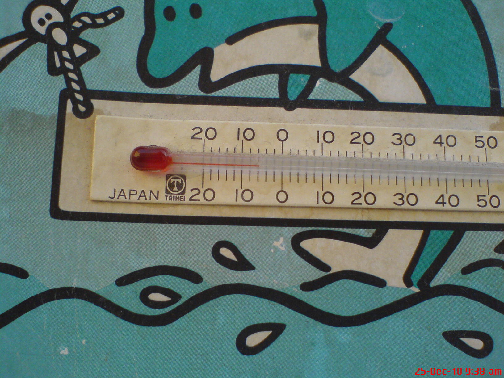f0080372_63684.jpg