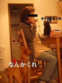 f0238772_18432085.jpg