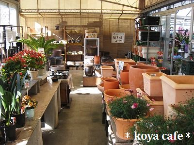 koya cafe　in オオキタ園芸_e0210981_12333014.jpg