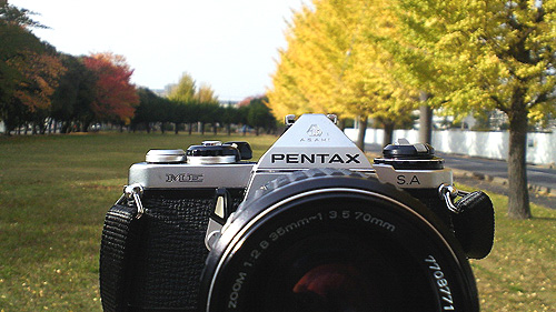 ◆銀杏＆桜並木～ASAHI PENTAX ME & smc PENTAX-M ZOOM 35-70mm F2.8-3.5_e0174382_1641247.jpg