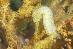 ザ・一眼カメラ!!_f0144385_28361.jpg