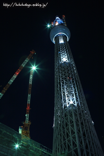 d0158191_2142010.jpg