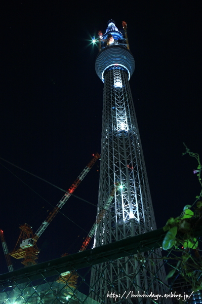 d0158191_21422022.jpg