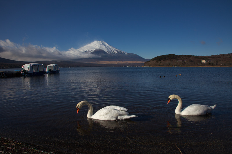 本栖湖からの富士山_b0065997_22472380.jpg