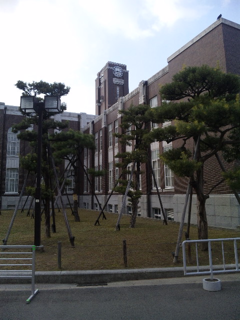 気分だけは・・・\"ヾ(゚▽゚*)>_f0237698_16321719.jpg