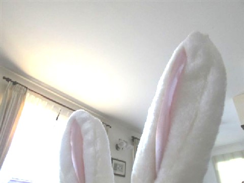 e0046305_16251029.jpg