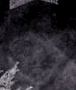 e0103408_16121859.gif